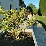 Casa Tijola