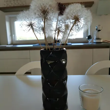 Casa Tijola *
